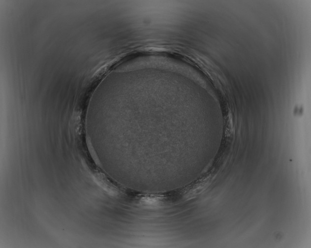 X0000091010560200708021550