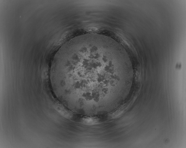X0000091010561200708021550