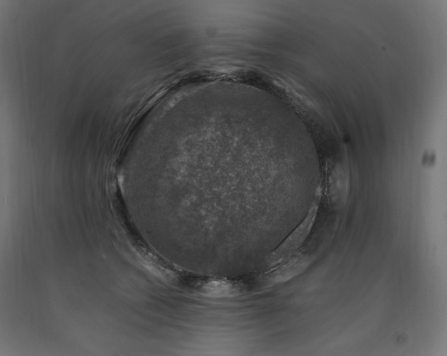 X0000091010562200708021551