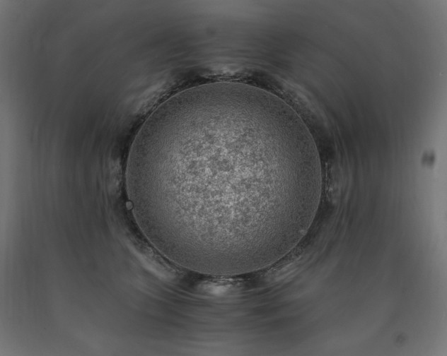 X0000091010563200708021551