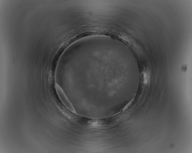 X0000091010564200708021551