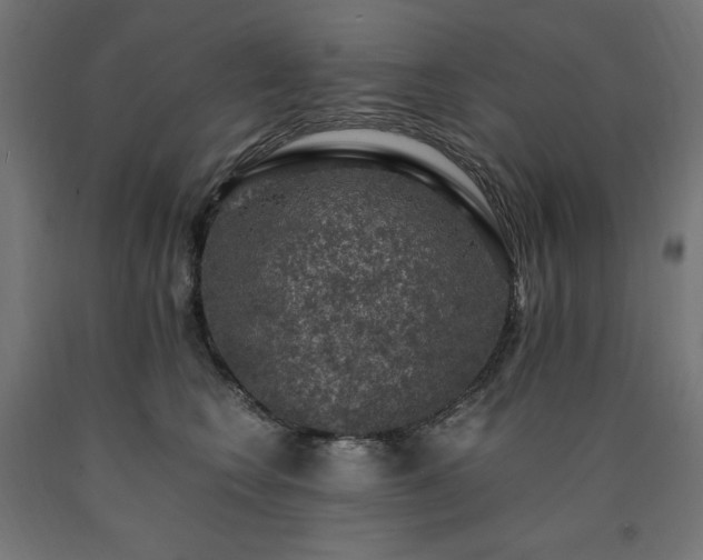 X0000091010566200708021551
