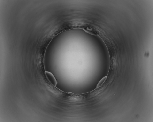 X0000091010567200708021551