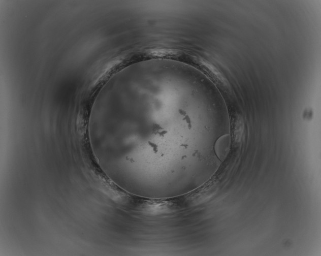 X0000091010569200708021551
