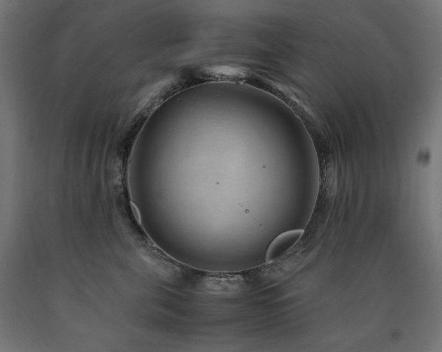 X0000091010571200708021551
