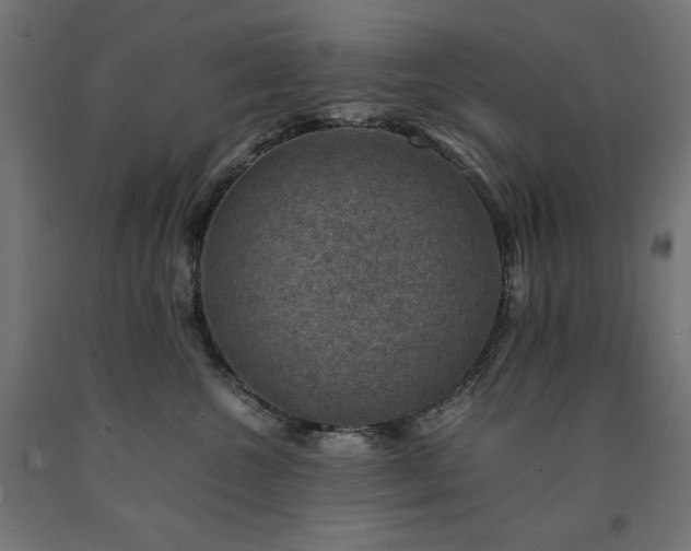 X0000091010572200708021551