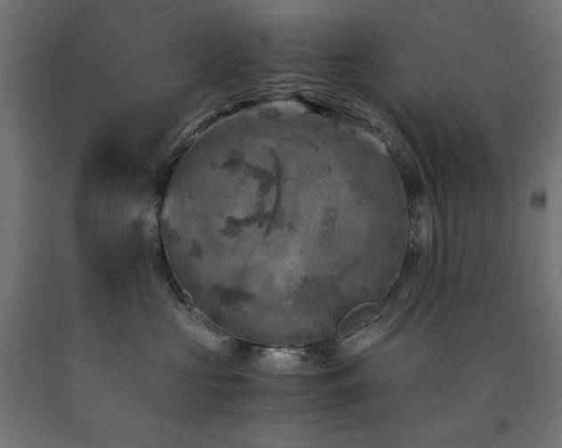 X0000091010573200708021551