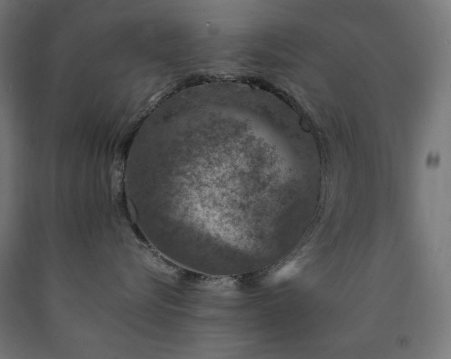 X0000091010576200708021551