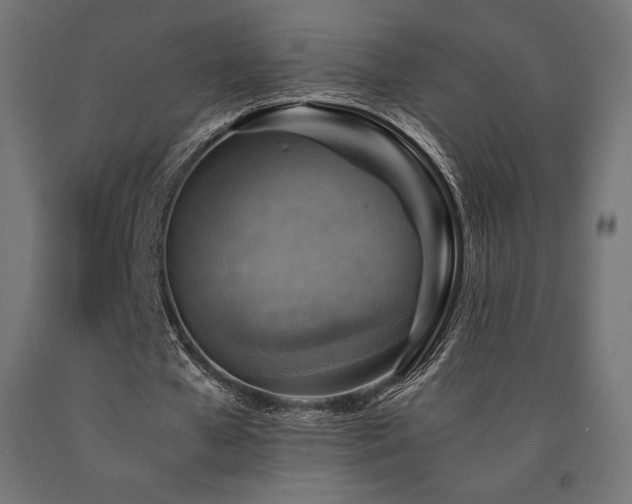 X0000091010577200708021550