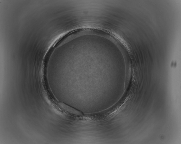 X0000091010580200708021550