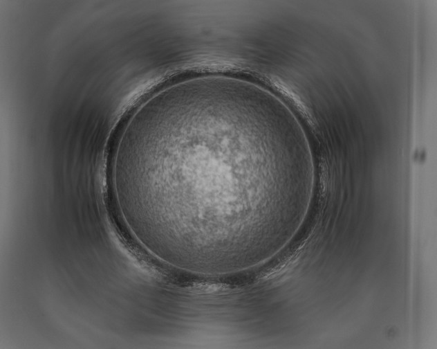 X0000091010582200708021550
