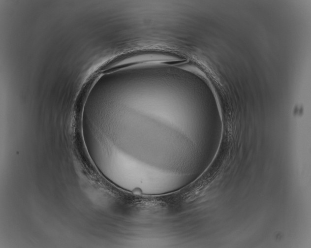 X0000091010583200708021550