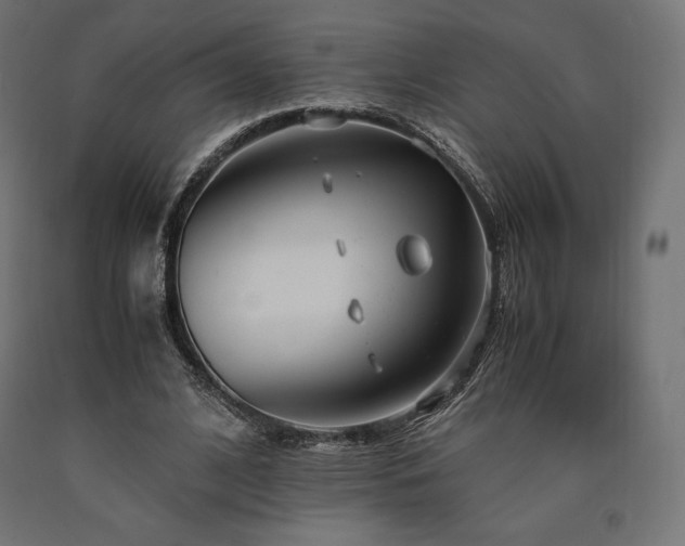 X0000091010584200708021550