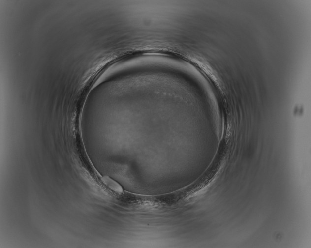 X0000091010585200708021550