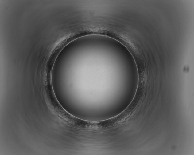 X0000091010587200708021550