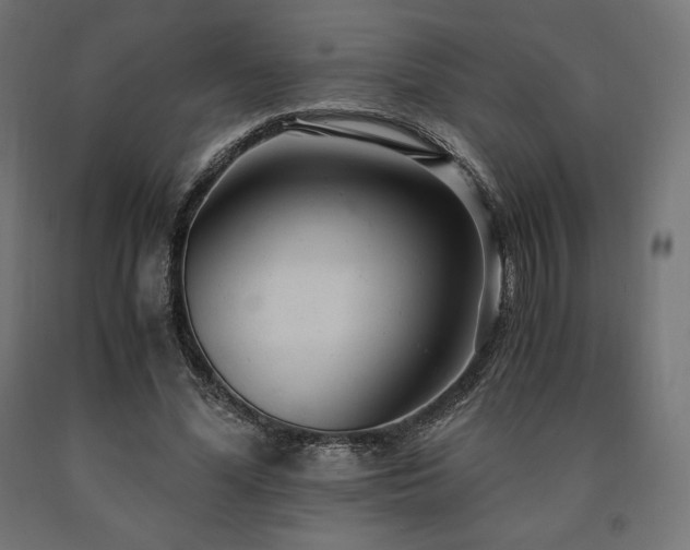 X0000091010588200708021550