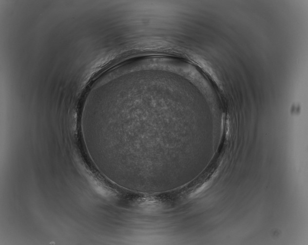 X0000091010589200708021550