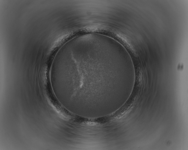 X0000091010590200708021550