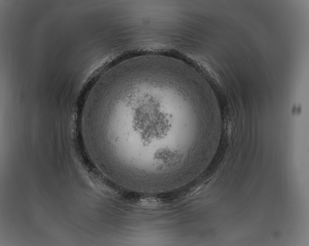 X0000091010591200708021550