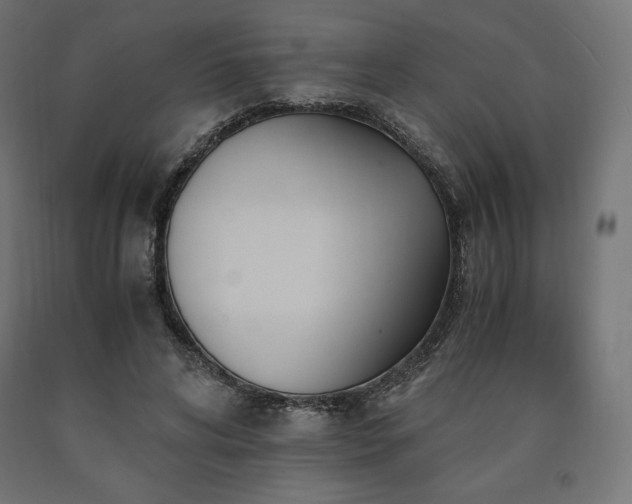 X0000091010592200708021550