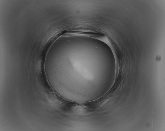 X0000091010595200708021550