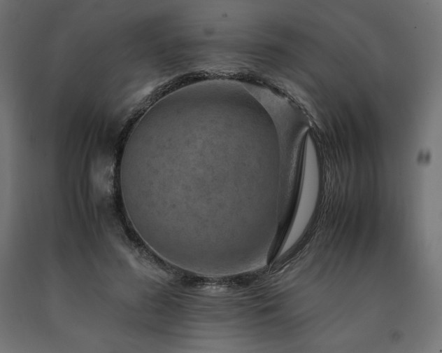 X0000091010596200708021550
