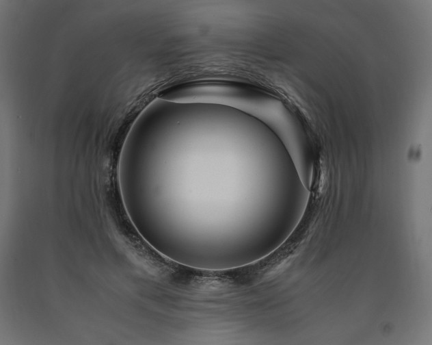 X0000091010597200708021550