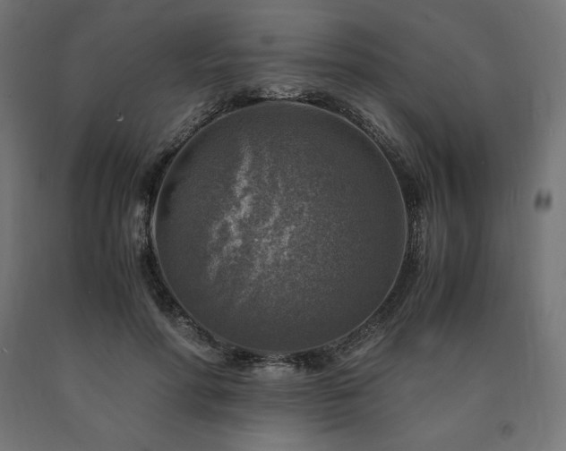 X0000091010598200708021550