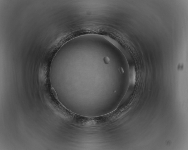 X0000091010600200708021550