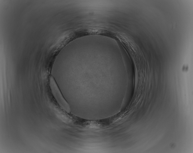 X0000091010601200708021550