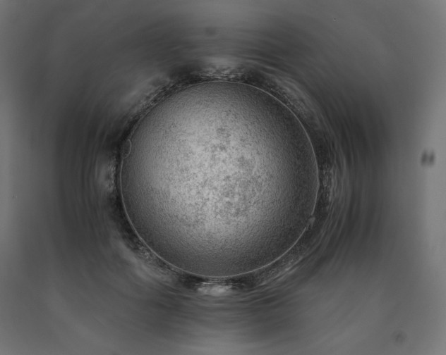 X0000091010602200708021550