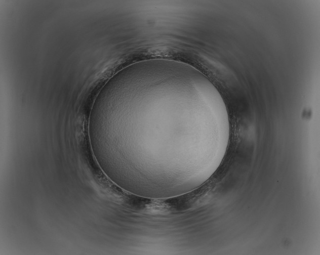 X0000091010603200708021550