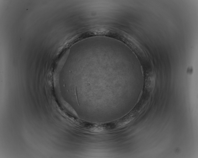 X0000091010604200708021550
