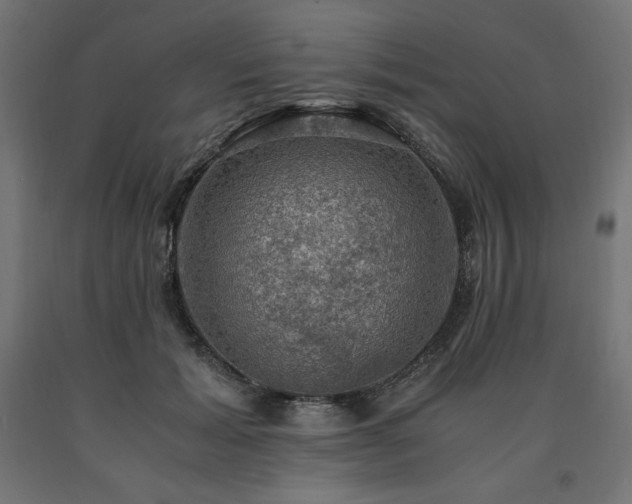 X0000091010605200708021550