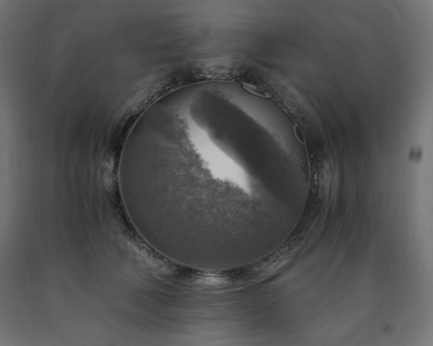 X0000091010610200708021550
