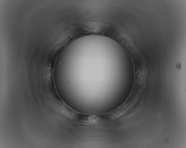 X0000091010612200708021549