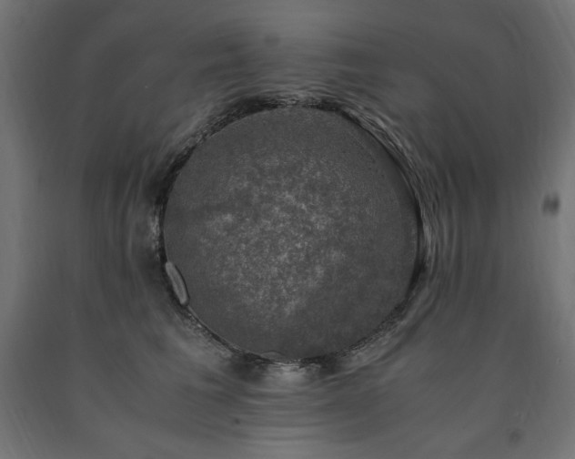 X0000091010613200708021549