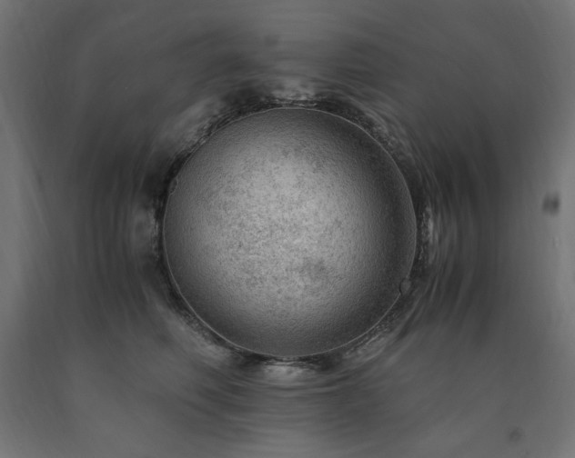X0000091010614200708021549