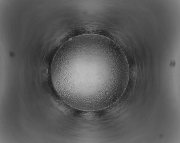 X0000091010615200708021549