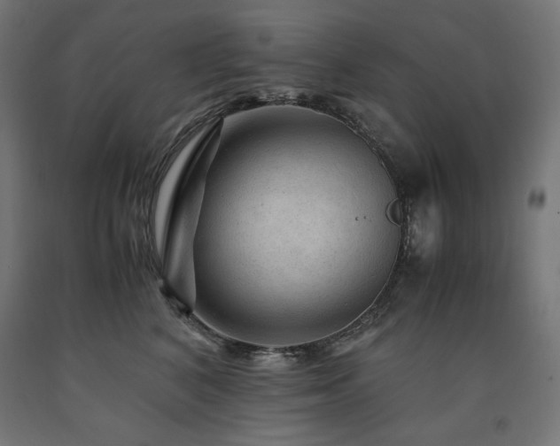 X0000091010616200708021549