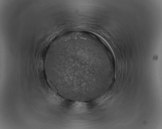 X0000091010617200708021549