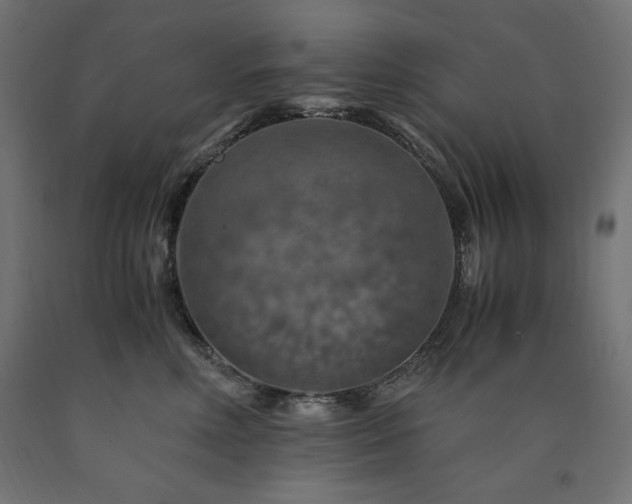 X0000091010618200708021549