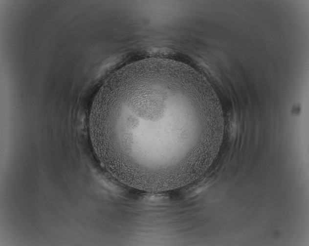 X0000091010619200708021549