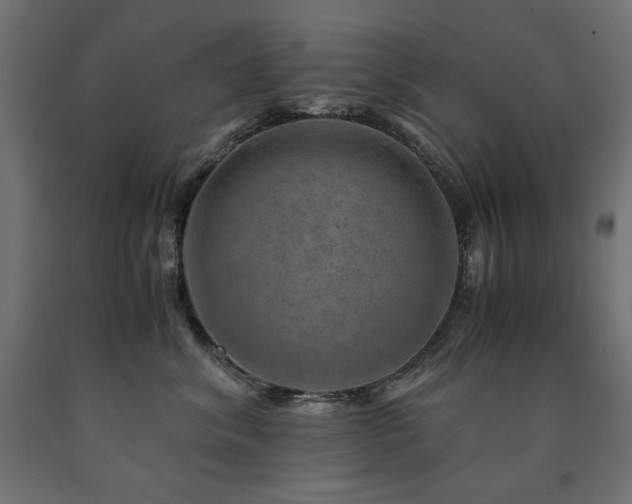 X0000091010620200708021549