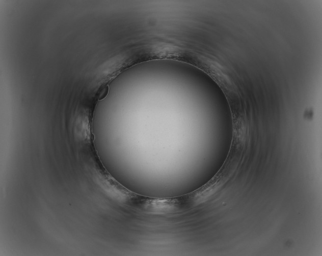 X0000091010622200708021549