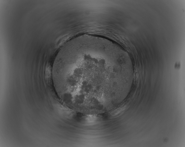X0000091010623200708021549