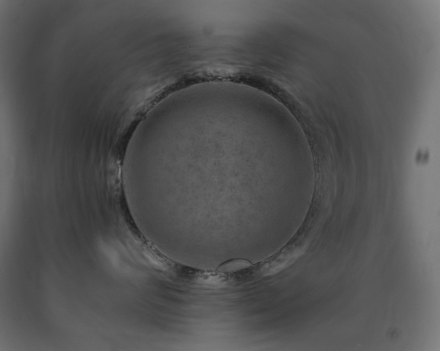 X0000091010624200708021549