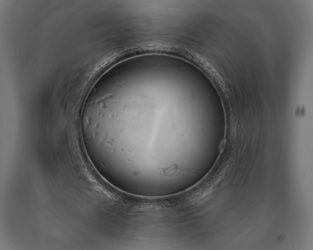 X0000091010625200708021549