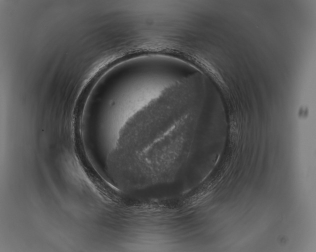 X0000091010626200708021549