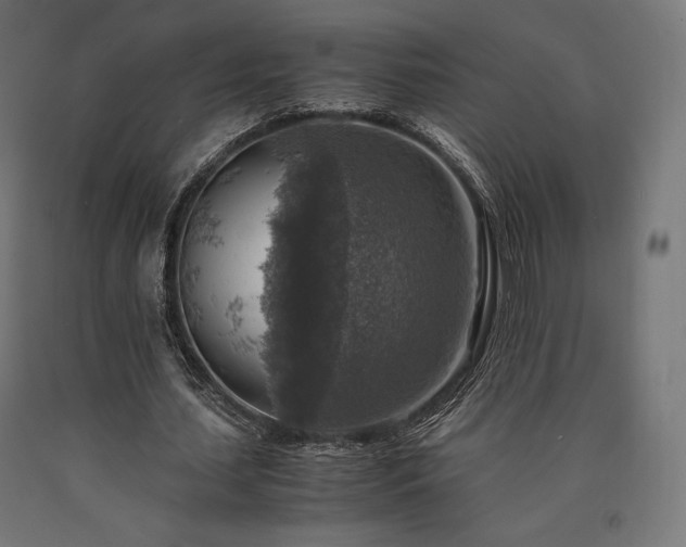 X0000091010627200708021549